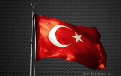 Red Flag With White Star And Crescent Moon GIF
