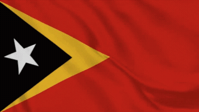 Red Flag With Yellow Triangle And Black Star GIF