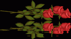 Red Flores Water Reflection GIF