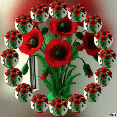 Red Flower Bouquet in Circle of Red Flowers with Pixiz