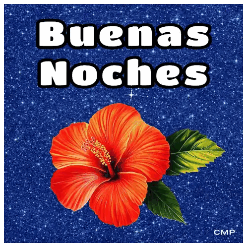 Red Flower Buenas Noches Sticker