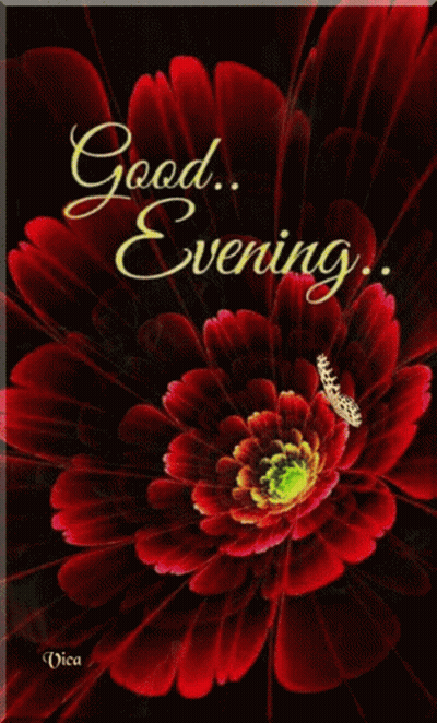Red Flower Butterfly Saying Good Evening GIF