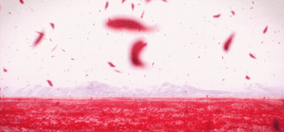 Red Flower Field With Mountains In Distance GIF