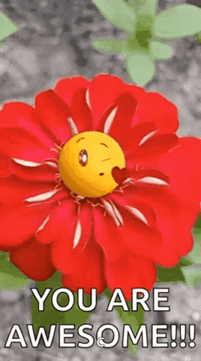Red Flower Smiley Flaming Text You Are Awesome GIF