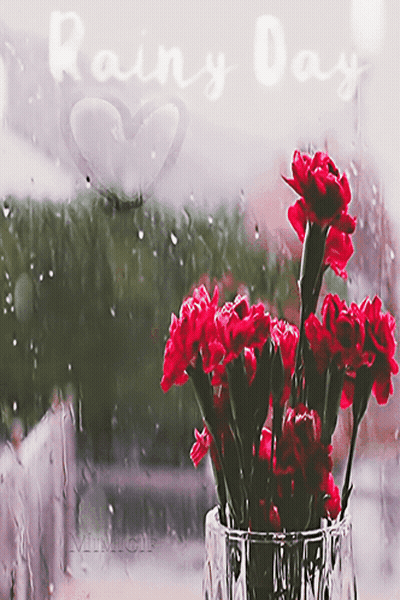 Red Flower Vase In Rainy Day Window GIF