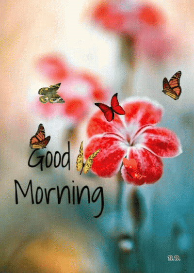 Red Flower With Butterflies Saying Good Morning GIF