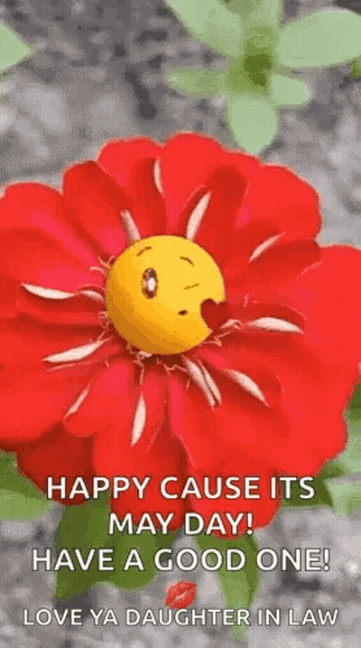 Red Flower With Smiley Face And Heart GIF