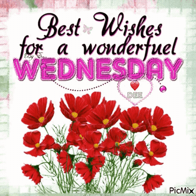 Red Flowers Best Wishes For A Wonderful Wednesday GIF