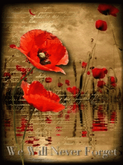 Red Flowers We Will Never Forget GIF