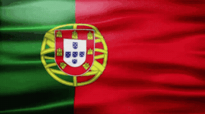 Red Green And Yellow Flag With White Shield GIF