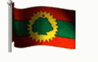 Red Green Yellow Flag With Yellow Sun GIF