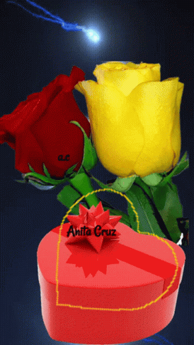 Red Heart Box With Anita Cruz GIF