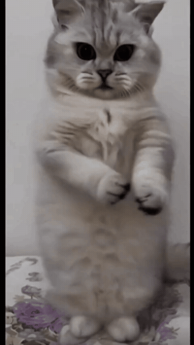 Red Heart Saying Cuz I Love You GIF