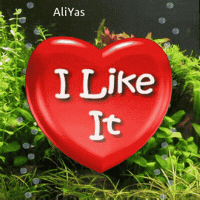 Red Heart Saying I Like It GIF