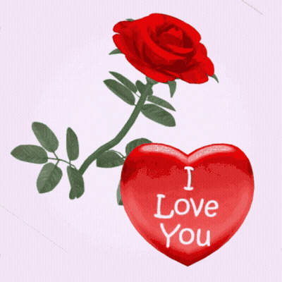 Red Heart Saying I Love You Next To Red Rose GIF