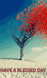Red Heart Tree Have A Blessed Day GIF