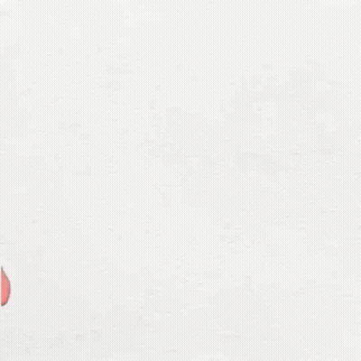 Red Heart With Red Roses GIF