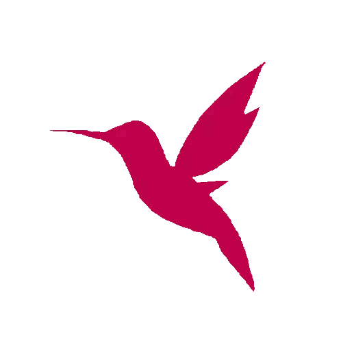Red Hummingbird Flying Sticker