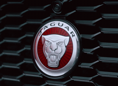 Red Jaguar License Plate 888 JXE GIF