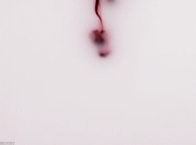Red Liquid Close Up GIF