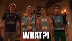 Red Nicky Ricky Dicky And Dawn Cast GIF