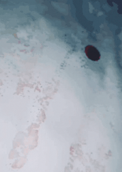 Red Object On White Surface GIF