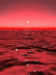 Red Ocean Sunset