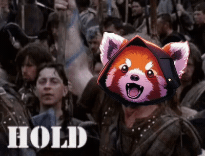Red Panda In Black Hat Surrounded By Crowd Saying Hold GIF