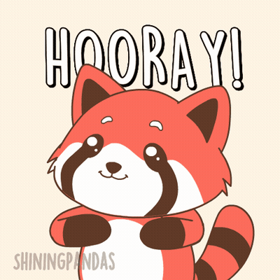 Red Panda Saying Hooray With Bandage On Head GIF