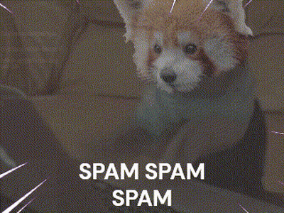Red Panda Standing In Front Of Spam Spam Spam Screen GIF
