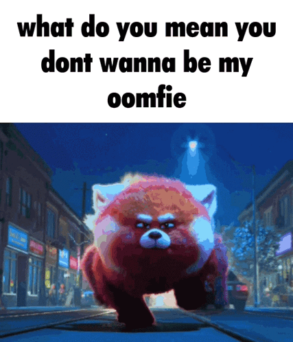 Red Panda What Do You Mean You Dont Wanna Be My Comfie GIF