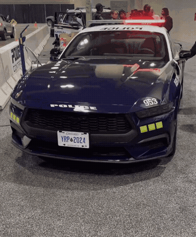 Red Pony Saying How About Shut The Fuck Up GIF
