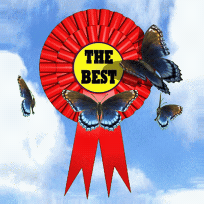 Red Ribbon Saying The Best GIF