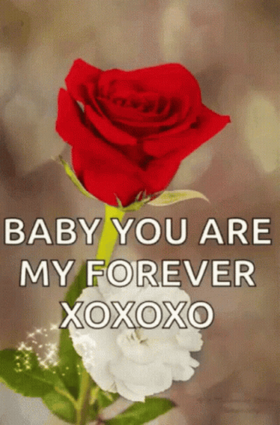 Red Rose Baby You Are My Forever Xoxo GIF