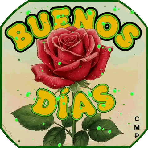 Red Rose Buenos Dias Sticker