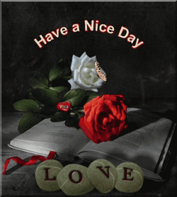 Red Rose Butterfly Have A Good Day Love GIF