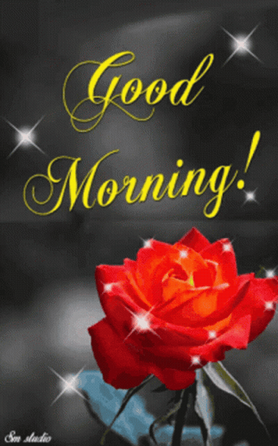 Red Rose Good Morning GIF
