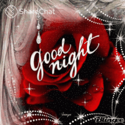 Red Rose Good Night GIF