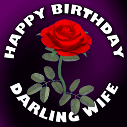 Red Rose Happy Birthday Darling Wife GIF