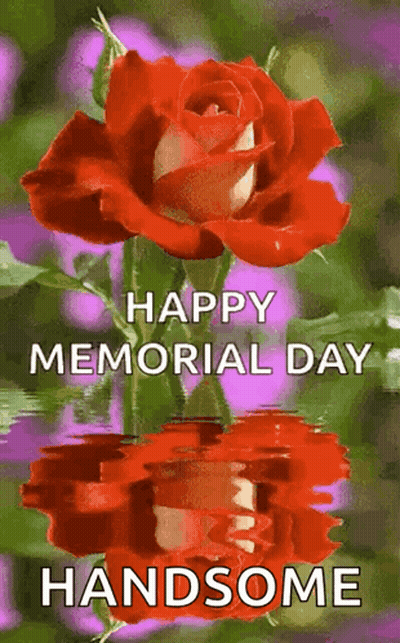 Red Rose Happy Memorial Day Handsome GIF