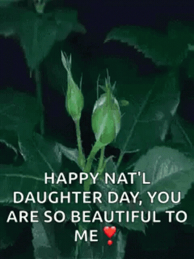 Red Rose Happy Nat'l Daughter Day You Are So Beautiful To Me