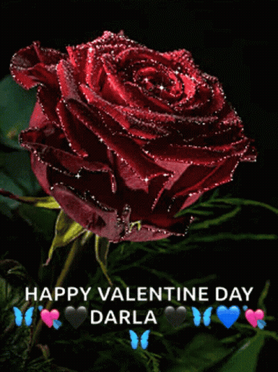 Red Rose Happy Valentine Day Darla GIF