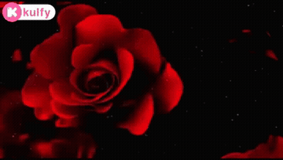 Red Rose Have A Happy Afternoon GIF