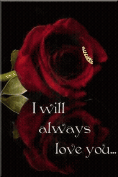Red Rose I Will Always Love You GIF