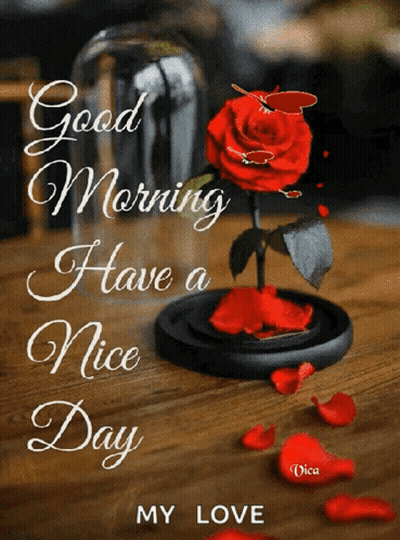 Red Rose In Glass Dome With Good Morning Have A Nice Day My Love GIF