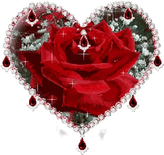 Red Rose In Heart Shaped Frame Sticker