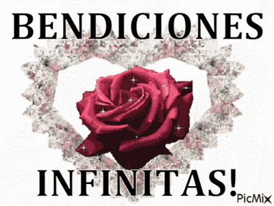 Red Rose In Heart With Bendiciones Infinitas GIF