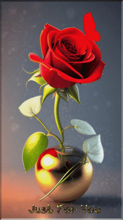 Red Rose In Vase Saying Just For You GIF