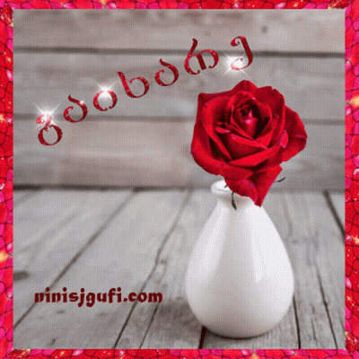 Red Rose In White Vase GIF