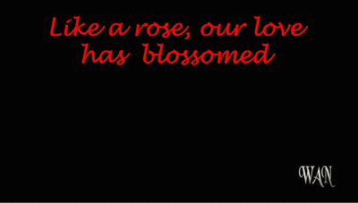 Red Rose Like A Rose Our Love Has Blossomed GIF